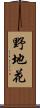 野地花 Scroll