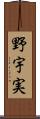 野宇実 Scroll