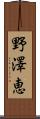 野澤恵 Scroll