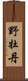 野牡丹 Scroll