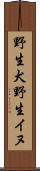 野生犬 Scroll