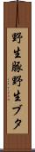 野生豚 Scroll