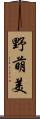 野萌美 Scroll