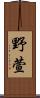 野萱 Scroll