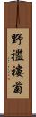 野襤褸菊 Scroll