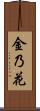 金乃花 Scroll