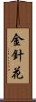 金針花 Scroll