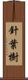 針葉樹 Scroll