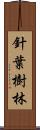 針葉樹林 Scroll