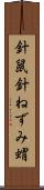 針鼠 Scroll