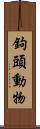 鉤頭動物 Scroll