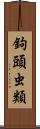 鉤頭虫類 Scroll