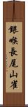 銀喉長尾山雀 Scroll