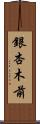 銀杏木前 Scroll