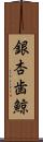 銀杏歯鯨 Scroll