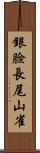 銀臉長尾山雀 Scroll