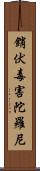 銷伏毒害陀羅尼 Scroll