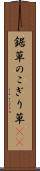 鋸草 Scroll