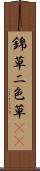 錦草 Scroll