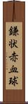 鎌状赤血球 Scroll