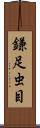 鎌足虫目 Scroll