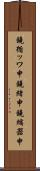 鐃循ッワ申鐃緒申 Scroll