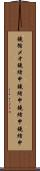 鐃循メオ鐃緒申鐃緒申鐃緒申鐃緒申 Scroll