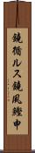 鐃循ルス鐃夙鰹申 Scroll
