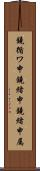 鐃循ワ申鐃緒申鐃緒申属 Scroll