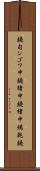 鐃旬ンゴワ申 Scroll