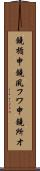 鐃楯￥申鐃夙フワ申鐃所オ Scroll