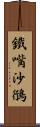 鐵嘴沙鴴 Scroll