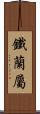 鐵蘭屬 Scroll