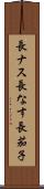 長ナス Scroll
