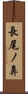 長尾ノ鼻 Scroll