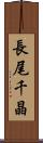 長尾千晶 Scroll