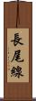 長尾線 Scroll