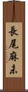 長尾麻未 Scroll