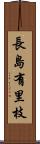 長島有里枝 Scroll