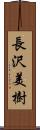 長沢美樹 Scroll