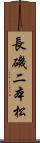 長磯二本松 Scroll