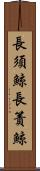 長須鯨 Scroll