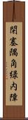 閉塞隅角緑内障 Scroll