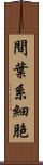 間葉系細胞 Scroll