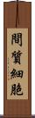 間質細胞 Scroll
