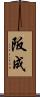 阪成 Scroll
