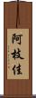 阿枝佳 Scroll
