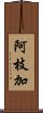 阿枝加 Scroll