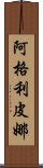 Agripina Scroll