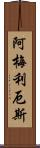 Amelius Scroll